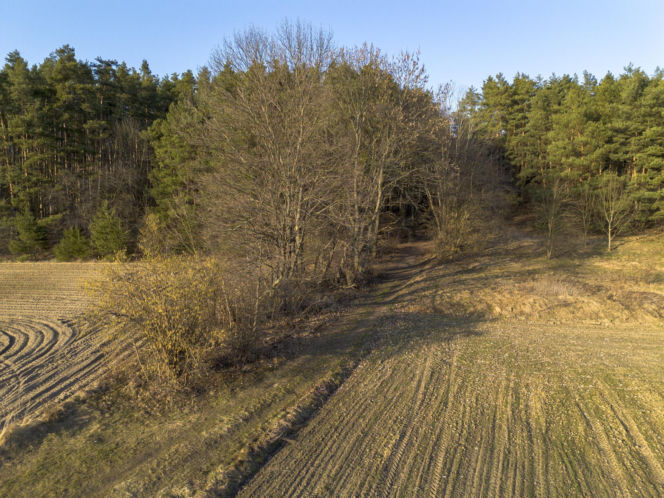 Światowa prasa pisze o śmierci Magdaleny Majtyki! Mówią o tajemnicy