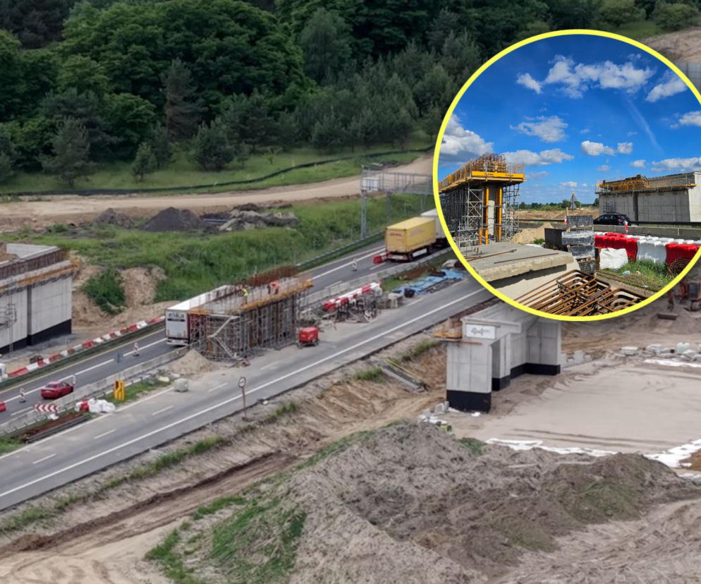 Korki przed granicą z Niemcami. Będą wstrzymywać ruch na A6 w Kołbaskowie