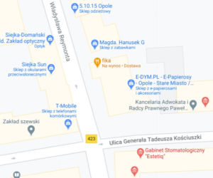 Opole. Gdzie zamówić jedzenie na dowóz? [LISTA]