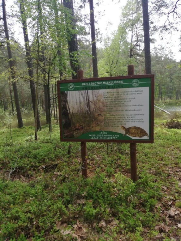 Nowa atrakcja na Mazurach. Otwarto ścieżkę prowadzącą do węzła obronnego