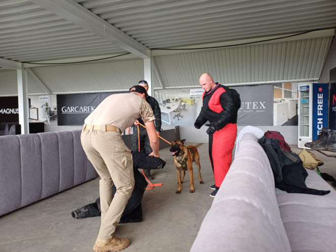Psy służbowe, szkolenia i strefa pierwszej pomocy. Trwa drugi dzień CERBERUS K9 w Ostrowie