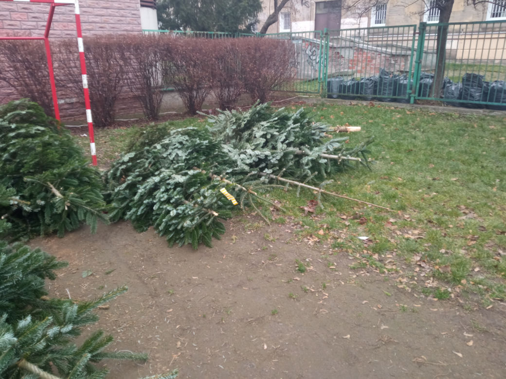 Konkurencja zniszczyła nasze choinki