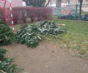 Konkurencja zniszczyła nasze choinki