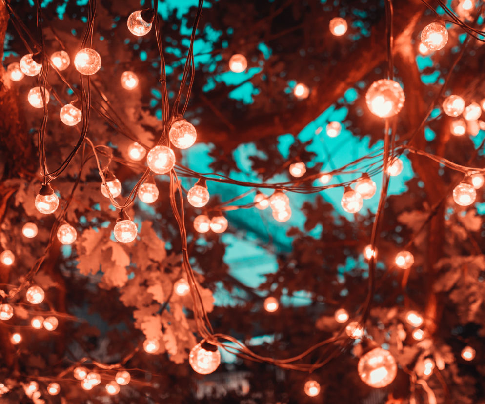 oświetlenie w ogrodzie