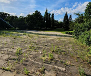 Będą porządki w parku Witosa w Bydgoszczy