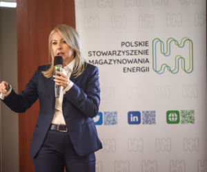 Targi Kielce - Międzynarodowe Targi Energetyki i Elektrotechniki oraz Odnawialnych Źródeł Energii ENEX