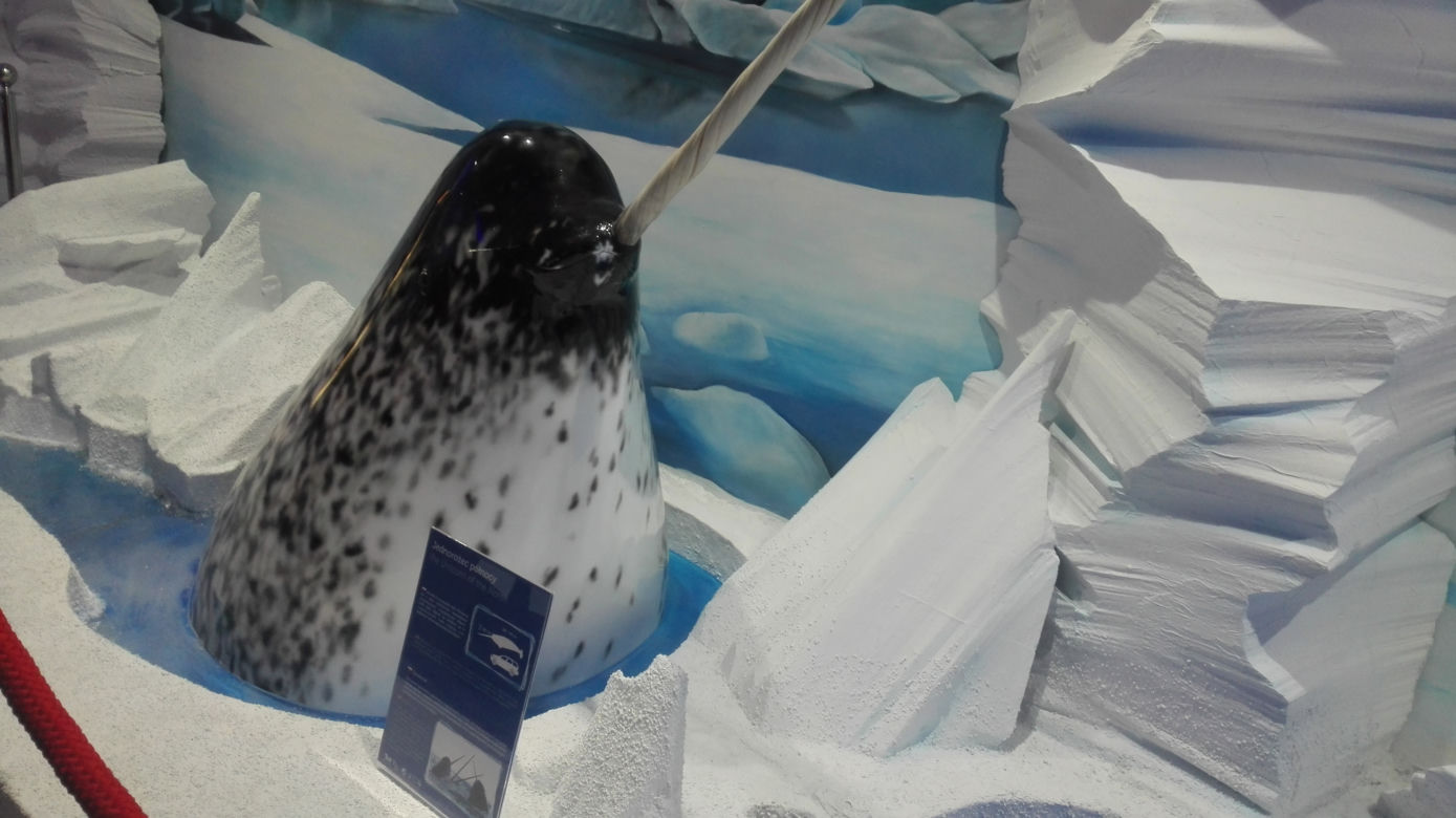 Wrocławskie zoo jako pierwsze w Europie ma multimedialny pawilon bez zwierząt