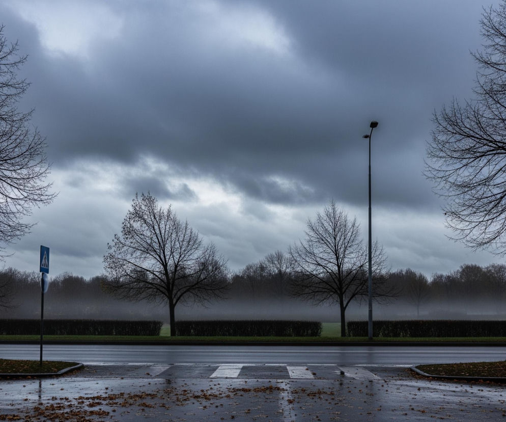 Ciemne, bezlistne drzewa stoją po lewej i prawej stronie, ich gałęzie rysują się na tle burzowego, zachmurzonego nieba. Na środku obrazu widoczna jest mokra asfaltowa droga, z białymi pasami przejścia dla pieszych i rozsypanymi brązowymi liśćmi. Za drogą rozciąga się pas zieleni z niskim, ciemnym żywopłotem i kilkoma samotnymi drzewami w oddali, częściowo zasłoniętymi przez mgłę. Po lewej stronie drogi stoi niebieski znak drogowy, a po prawej wysoka, czarna latarnia uliczna z dwoma lampami.
