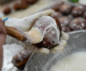 Polskie pączki najlepsze w Chicago w kawiarni Polish Pączki Cafe