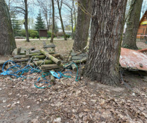 Rozbiórka Parku Linowego Tarzan w Parku Tysiąclecia w Lesznie