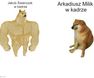 Memy po meczu Polska - Rosja 