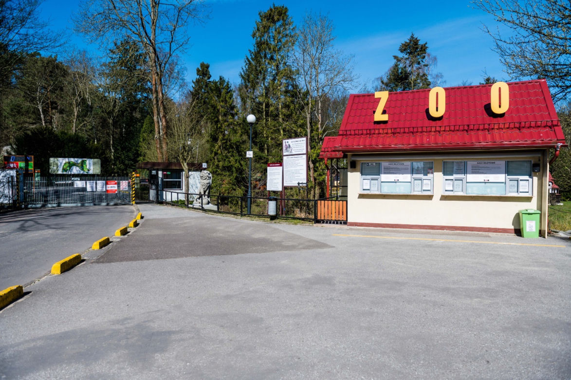 Koronawirus w Trójmieście. ZOO zamknięte na czas kwarantanny
