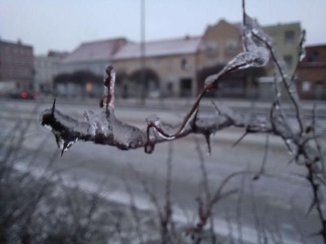 Skute lodem chodniki, ulice i... samochody. Trudny poranek dla kierowców w Lesznie