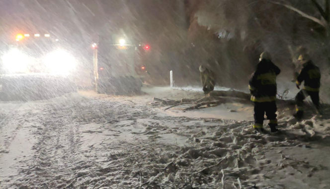 Atak zimy na Podkarpaciu: Tysiące domów bez prądu! Strażacy interweniowali setki razy, śnieg paraliżuje region