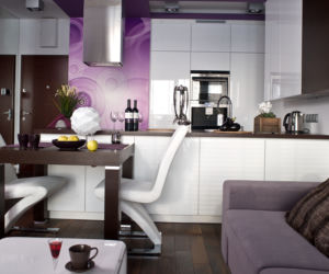 Salon z kuchnią