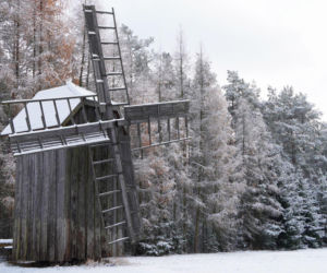 Myślisz, że to Podlasie? Ten nietypowy quiz potrafi zmylić każdego