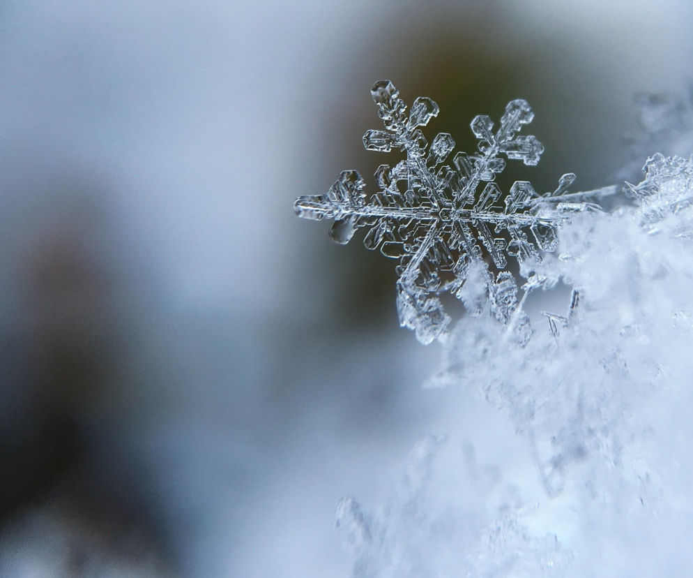 Lubelskie: Nadchodzi załamanie pogody. Kiedy śnieg i ujemne temperatury?
