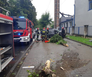 Wieluń: Śmierć 31-letniego kierowcy forda
