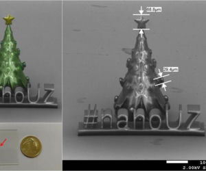 Najmniejsza choinka na Uniwersytecie Zielonogórskim. Powstała w osiem minut