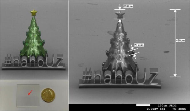 Najmniejsza choinka na Uniwersytecie Zielonogórskim. Powstała w osiem minut