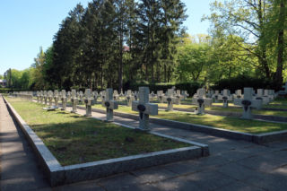 Największe cmentarze w Polsce robią wrażenie. Oto 5 rekordowych nekropolii