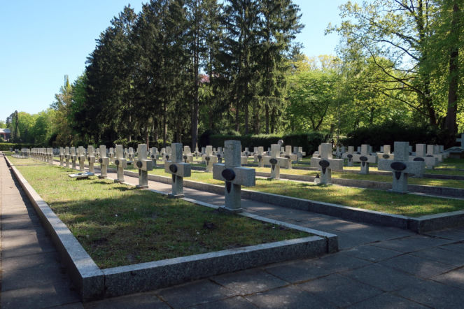 Największe cmentarze w Polsce robią wrażenie. Oto 5 rekordowych nekropolii