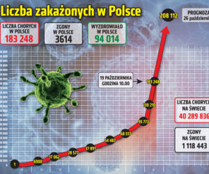 Koronawirus w Polsce. Statystyki, wykresy, grafiki (19 października)