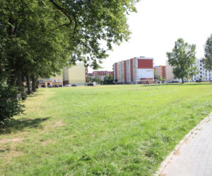 W Ełku powstaje park rekreacyjno-wypoczynkowy. Część inwestycji już zrealizowana! [ZDJĘCIA]