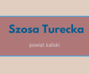 Zabawne nazwy miejscowości w południowej Wielkopolsce. Padniesz ze śmiechu! [GALERIA]