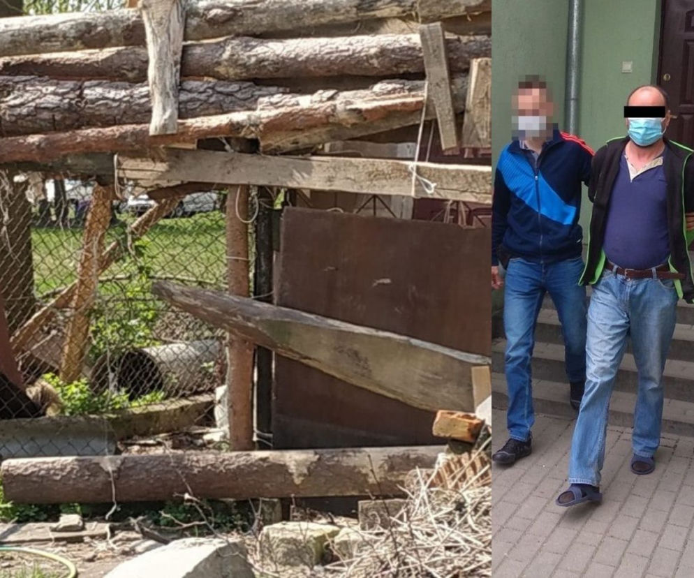 Biała Podlaska: Agresywne psy zaatakowały 10-latka