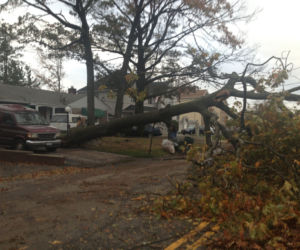 Huragan Sandy