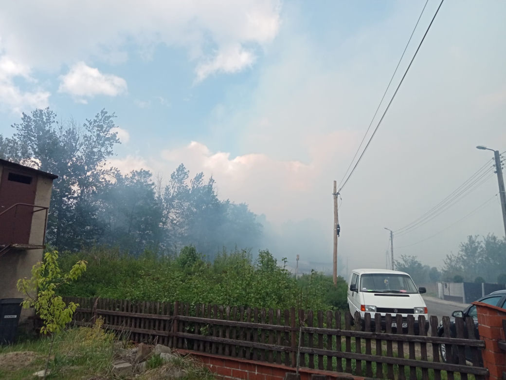 Pożar lasu w Miasteczku Śląskim