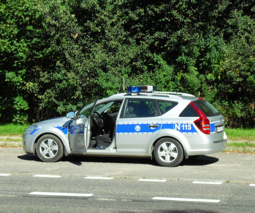 Kierowca już zapomniał jak się jeździ w Polsce