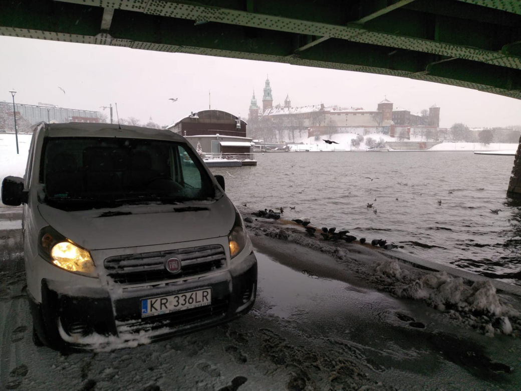 Zaskakujący apel od władz. Miasto i KTOZ proszą o pomoc w dokarmianiu ptaków