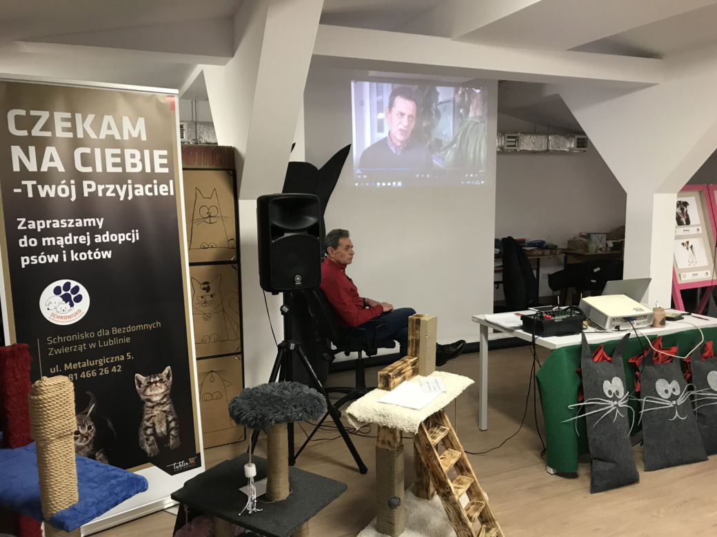 Dzień otwarty w lubelskim schronisku