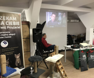 Dzień otwarty w lubelskim schronisku