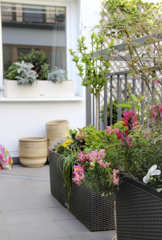 Zdjęcia balkon: mały ogród