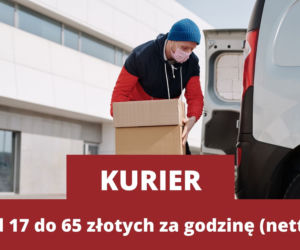 Świąteczne zawody 2021. Ile może zarobić Mikołaj, Śnieżynka i sprzedawca karpi? [STAWKI ZA GODZINĘ]