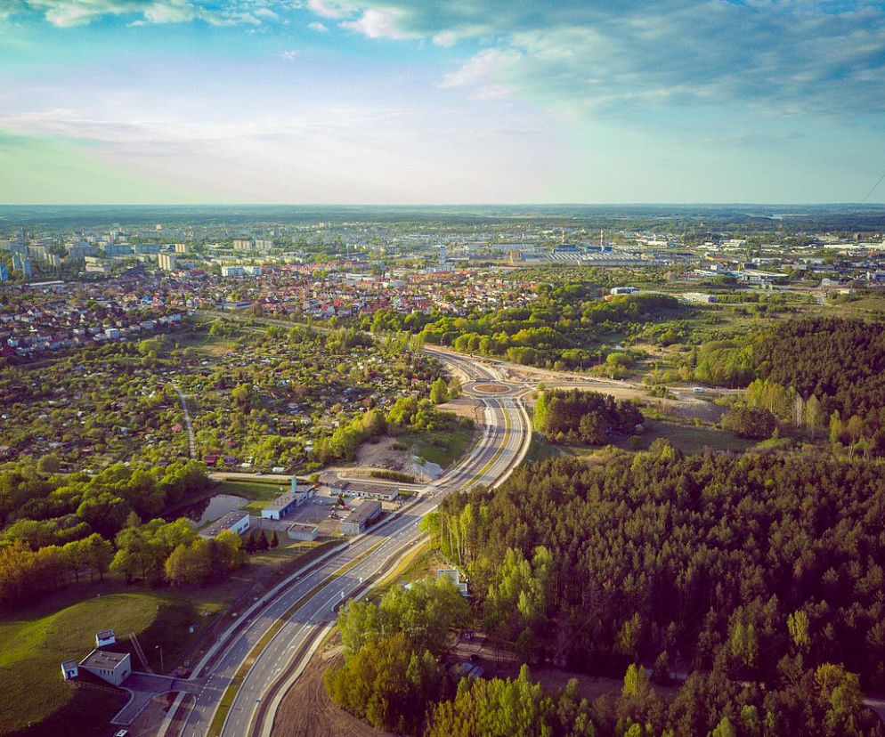 Olsztyn szykuje się do nasadzeń