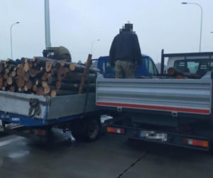 Dostawczak aż trzeszczał od nacisku drewna