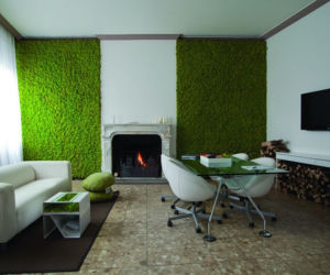 Trendy 2017 - Greenery kolorem roku