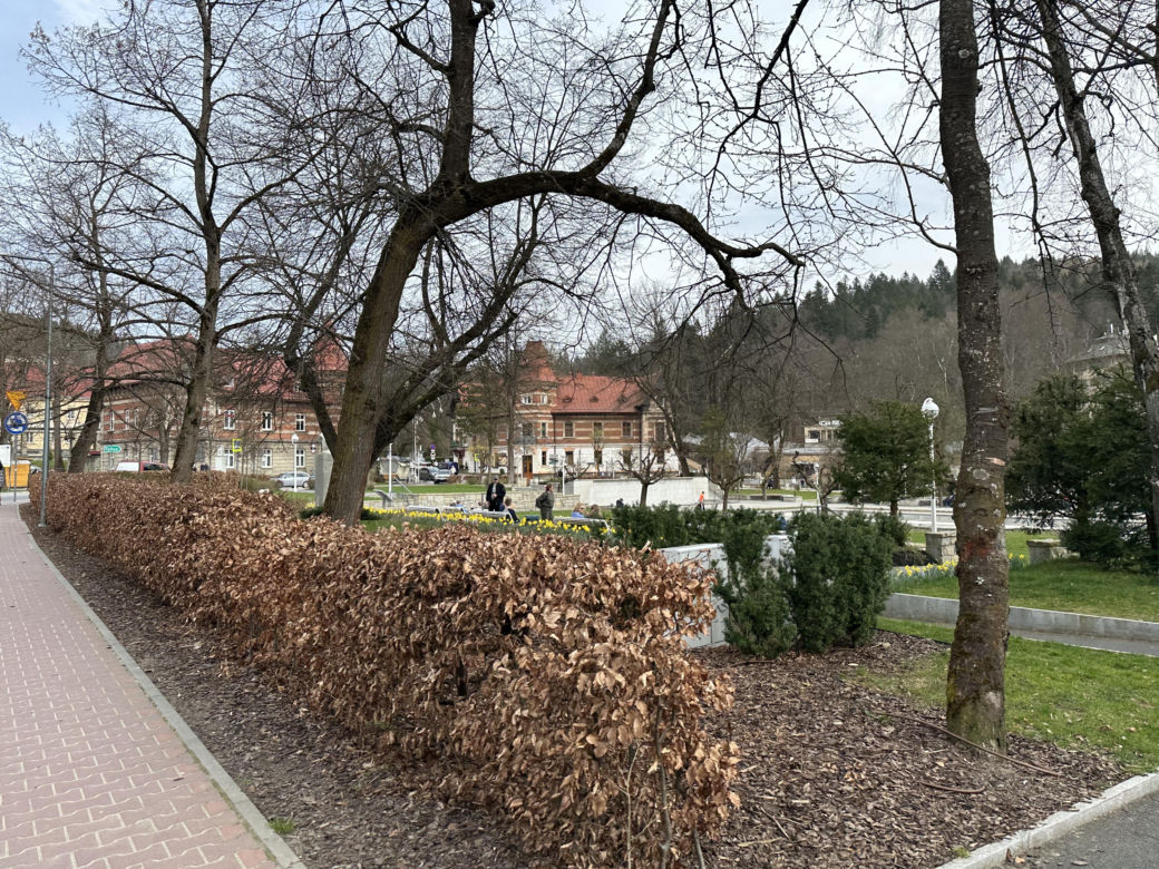 Krynica-Zdrój znów tętni życiem. Uzdrowisko przeżywa drugą młodość 