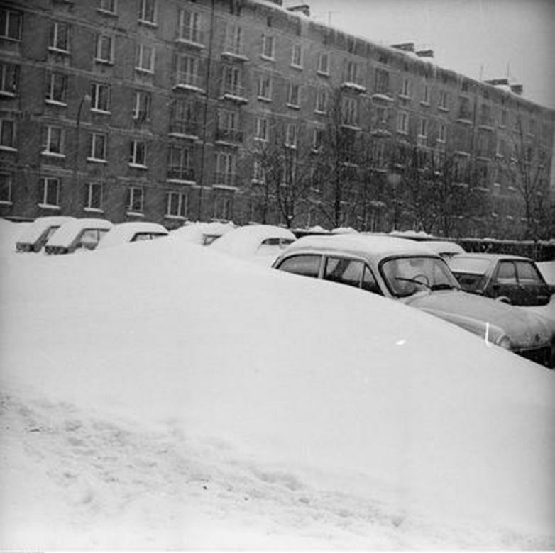 Zima stulecia