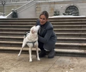 Pieski w Pałacu Prezydenckim