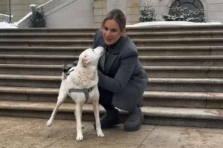 Pieski w Pałacu Prezydenckim