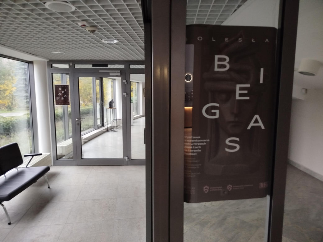 Potrójna wystawa Bolesława Biegasa w Siedlcach będzie czynna do końca listopada