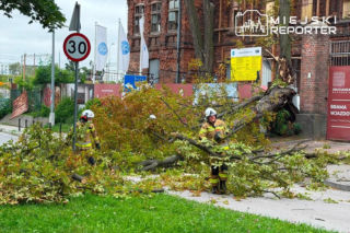 Drzewa padają jedno po drugim. Wichura niszczy Warszawę, zamknięto zoo i parki