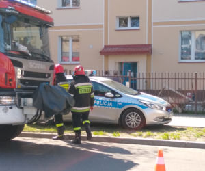 Białystok. Akcja strażaków na ul. Zwycięstwa. Ktoś rozlał na klatce schodowej dziwną substancję [ZDJĘCIA, WIDEO]