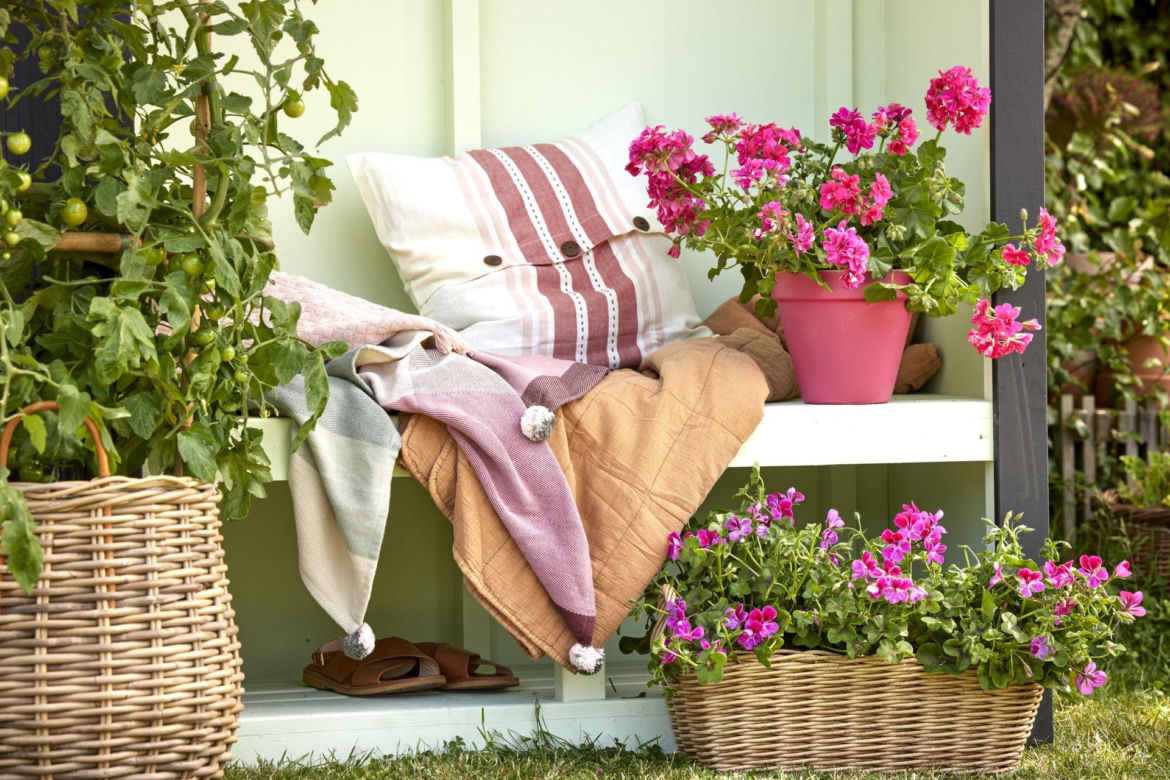 Relaks z pelargoniami