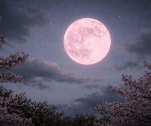 Tej nocy koniecznie spójrz w niebo! Różowy Księżyc zachwyci swoją mocą tuż przed świętami 